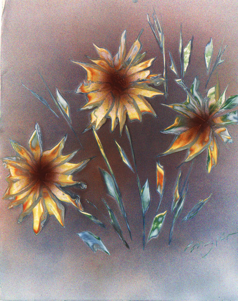spraycasso daisies