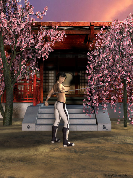 Morning at the Dojo