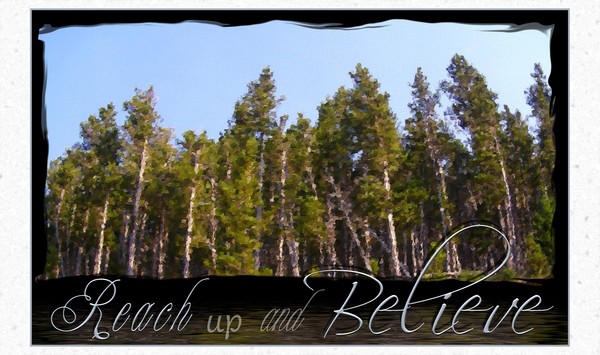 Reach Up And Believe