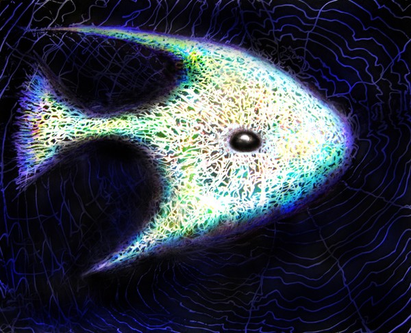 Cool Fish