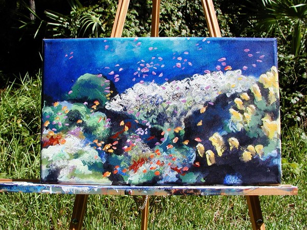 Coral 30
