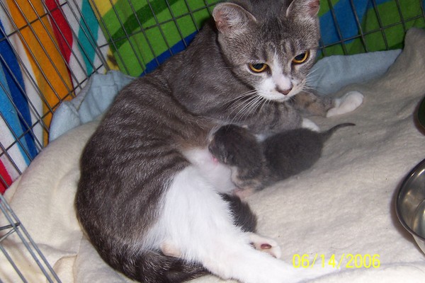 A Mamma & her Baby