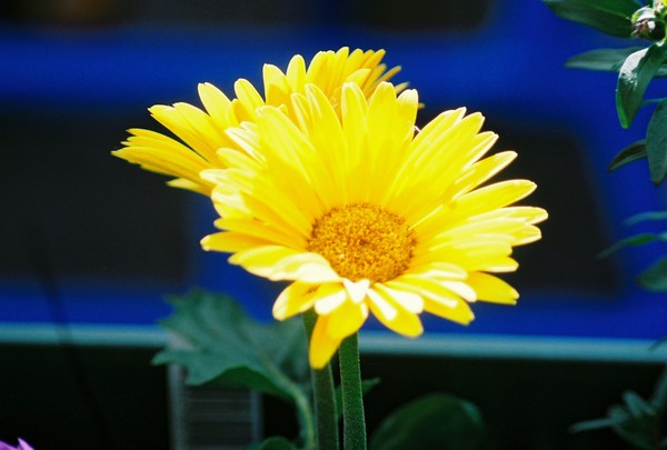 just lovely..