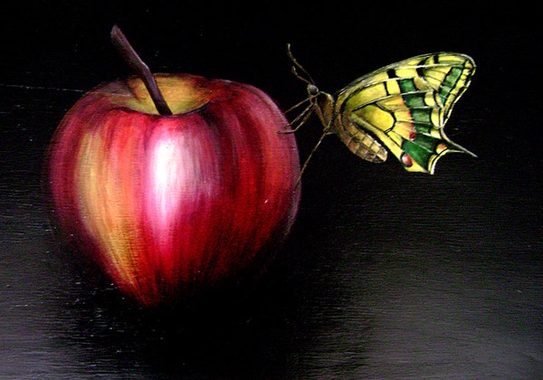Butterfly and Apple