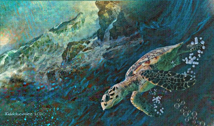 Tuara Tuara * 2020 Kiddolucaslee