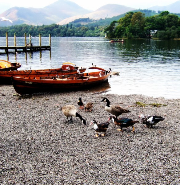 lake side