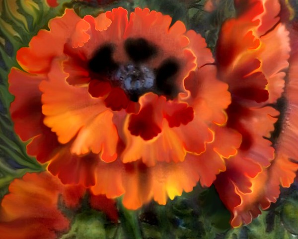 I LOVE Poppies!