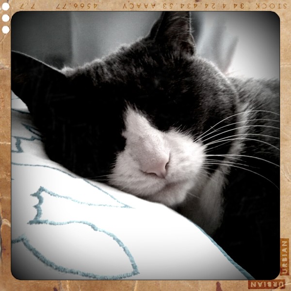 Peaceful slumber