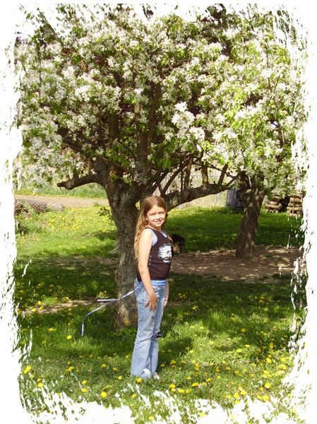 Stopping for Apple Blossoms