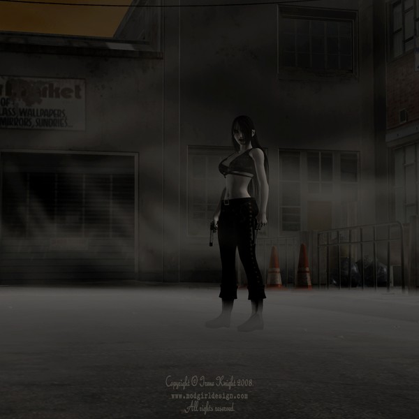 Inner City Hunter