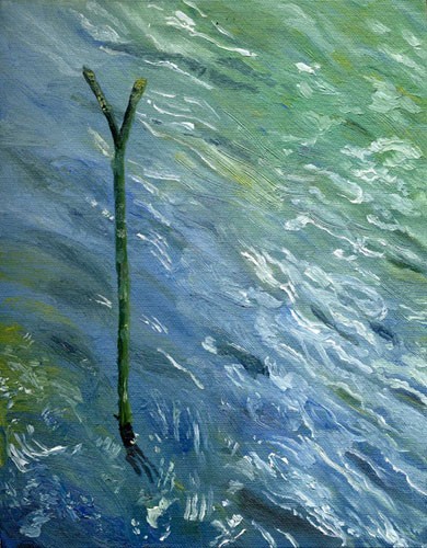 Fishing Stick