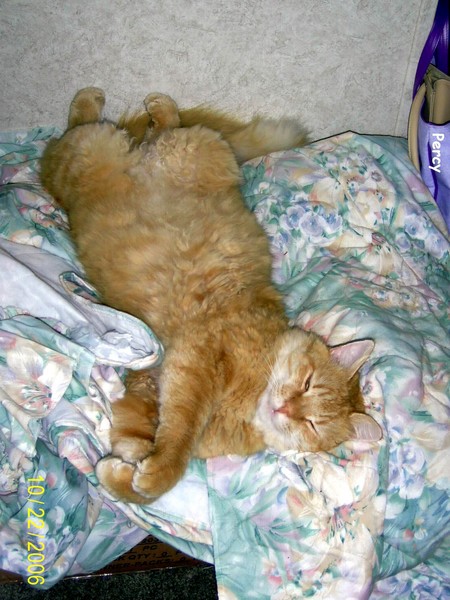 Percy