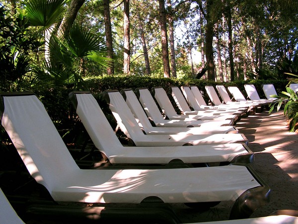 Lounge Chairs