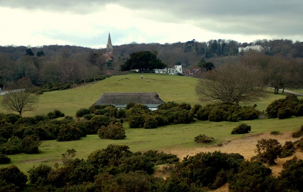 Lyndhurst, New Forest