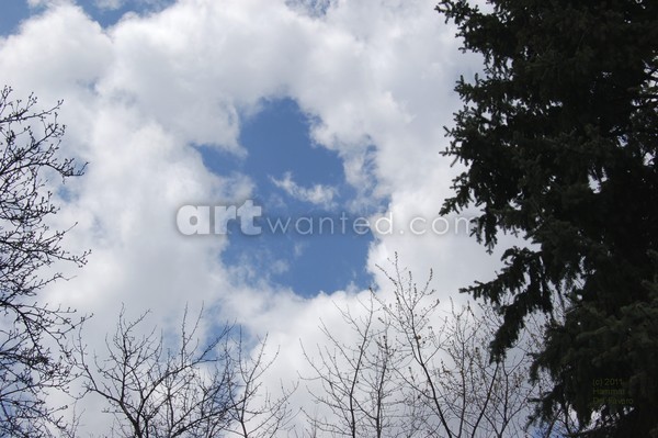 Sky Child Angel with Pet Photo