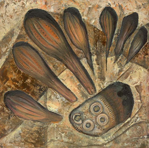 Partial Echinoidea Cidaris