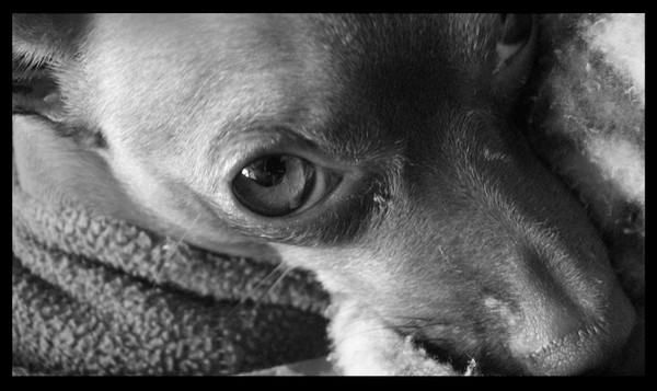 The stare that melts
