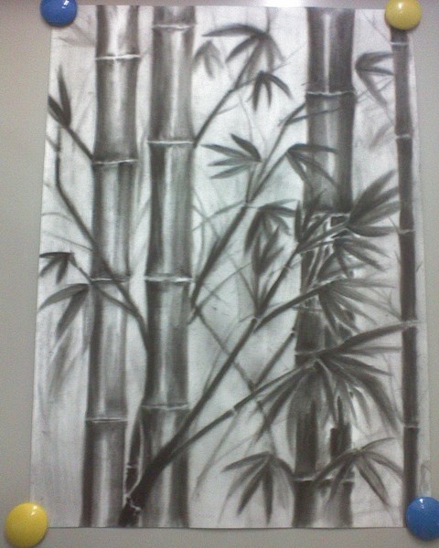 bamboos