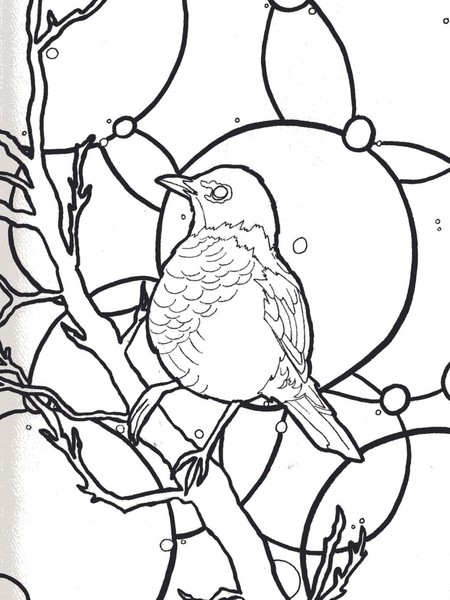 Bird study 3