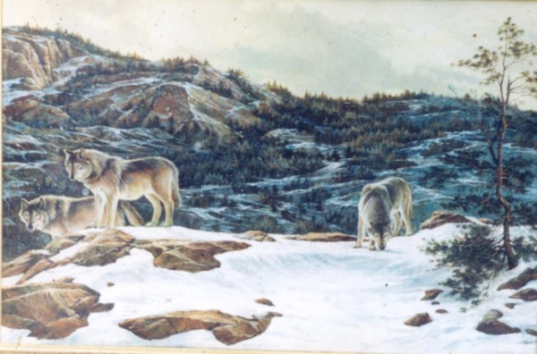 Wolf Family