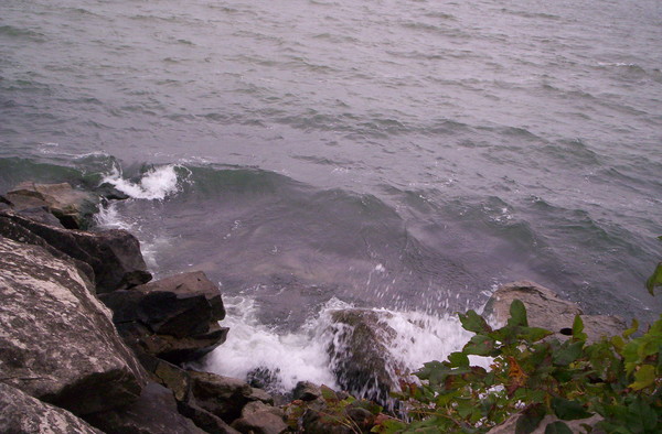 Turtle Rocks