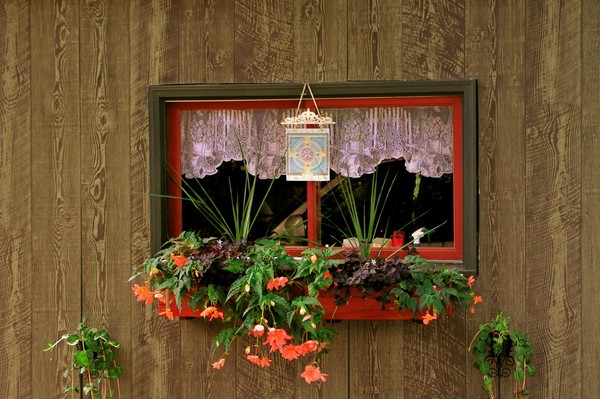 Window View