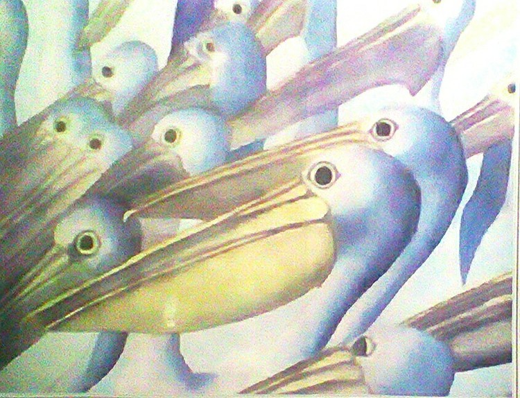 Pelicans on Parade