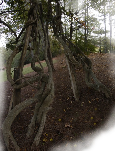 intertwine