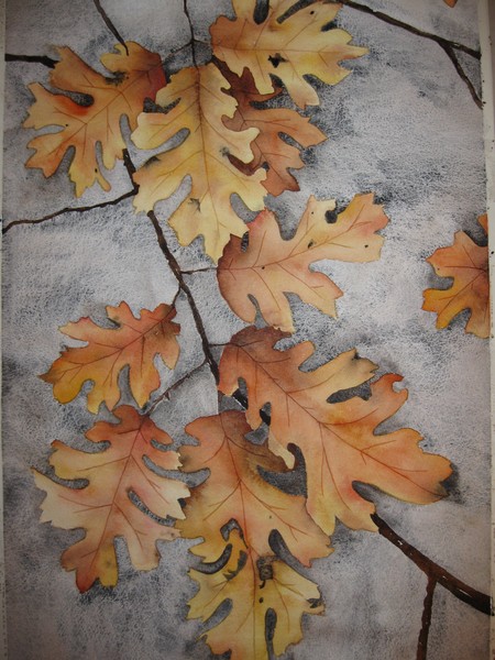 Winter Oaks