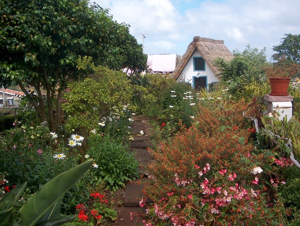 MADEIRA ISLAND I