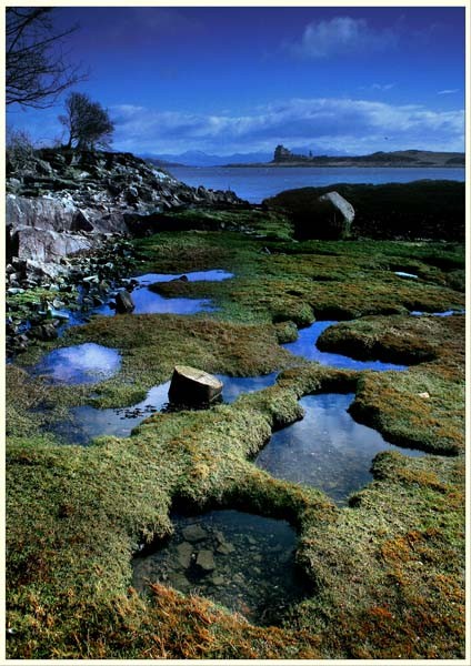 Island Blue