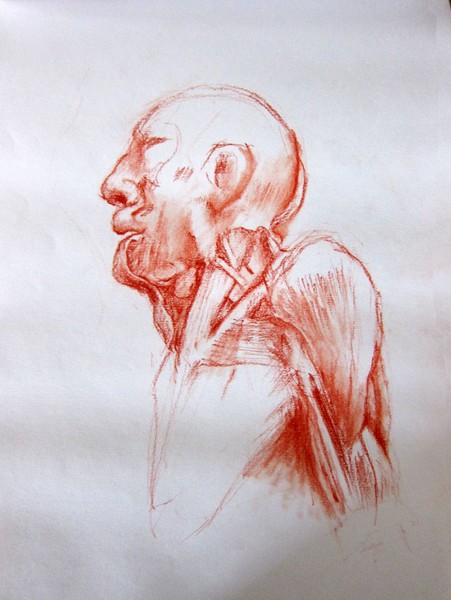 Autopsy Study HEADnSHOULDER