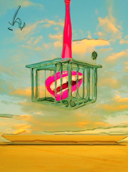 mirror cage