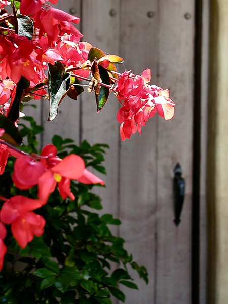 The Secret Door ~ 2