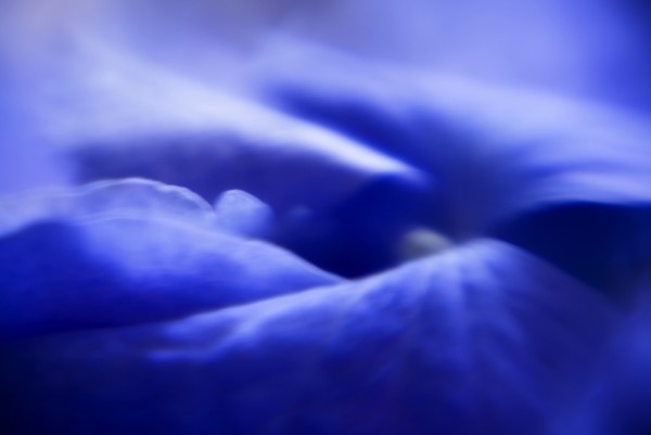 Landscape in Blue
