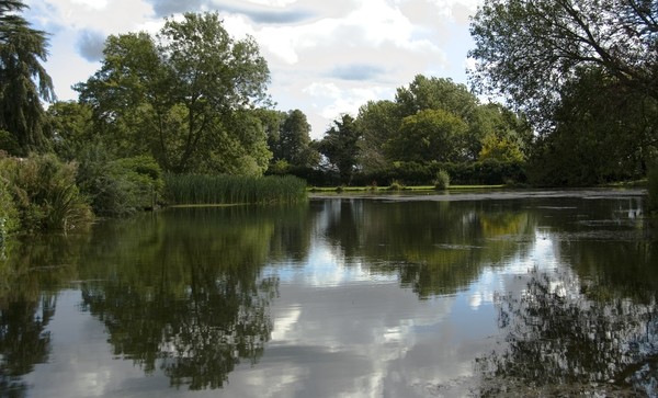 Lakeside View