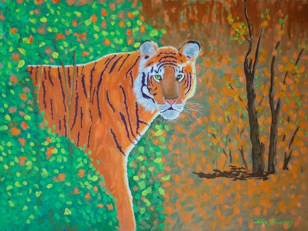 Forest Tiger