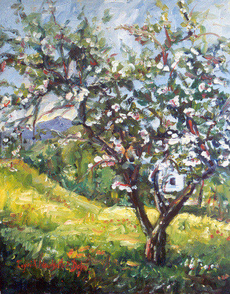 Blossoms