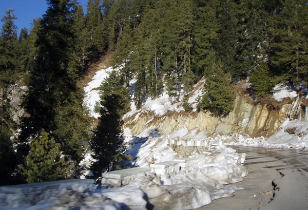 Snowy Peak Curve