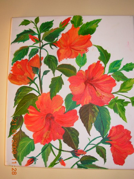 hisbiscus flowers
