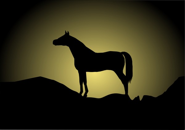 BLACK BEAUTY