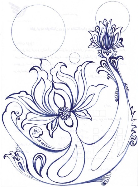 suns-khatai-flowers