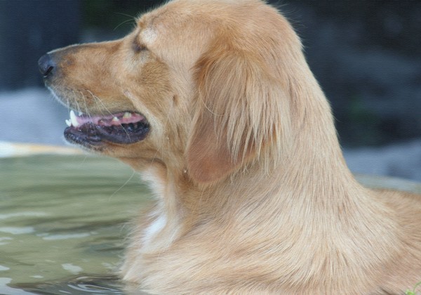 Cool and Wet