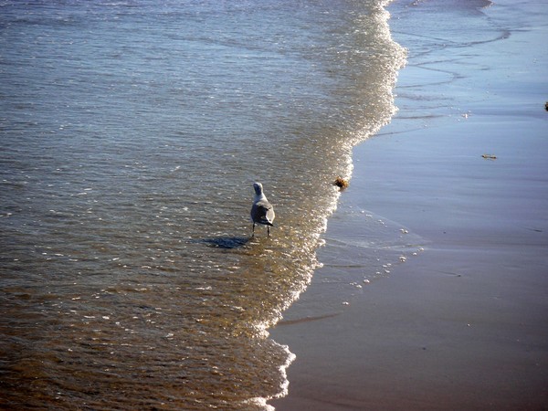Being One With The Gulf - Ahead