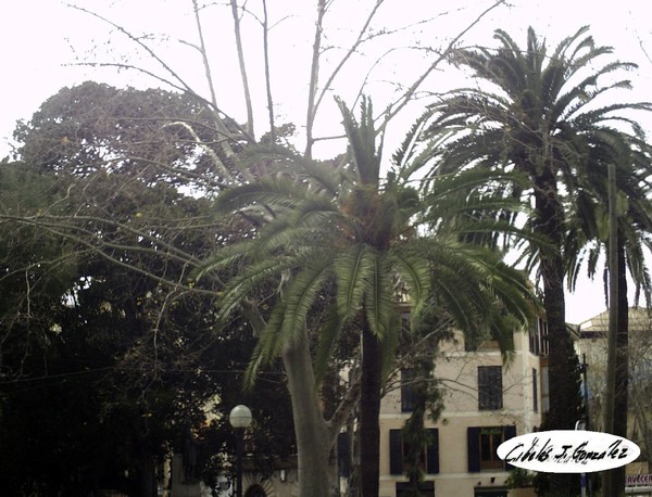 Near Juan Carlos Plaza