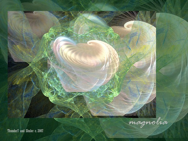 Pannell and Shuler Project 6 - Magnolia