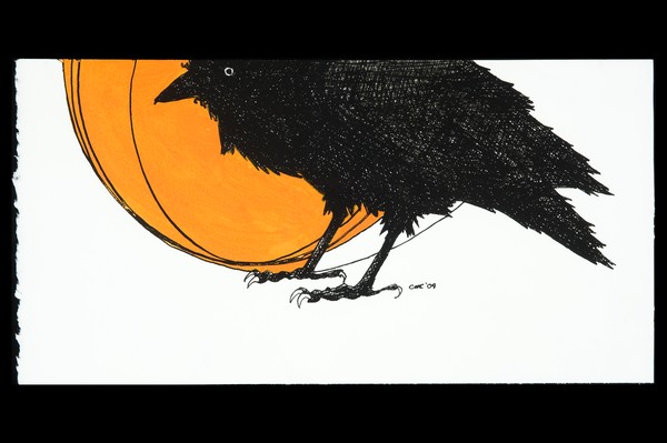 Crow/sun