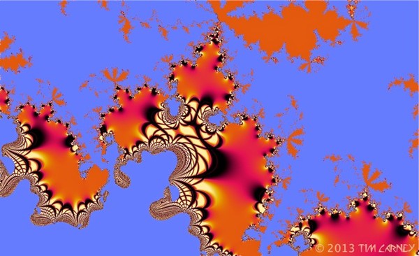 Domains Dividing