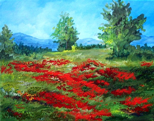 Field of Poppies
