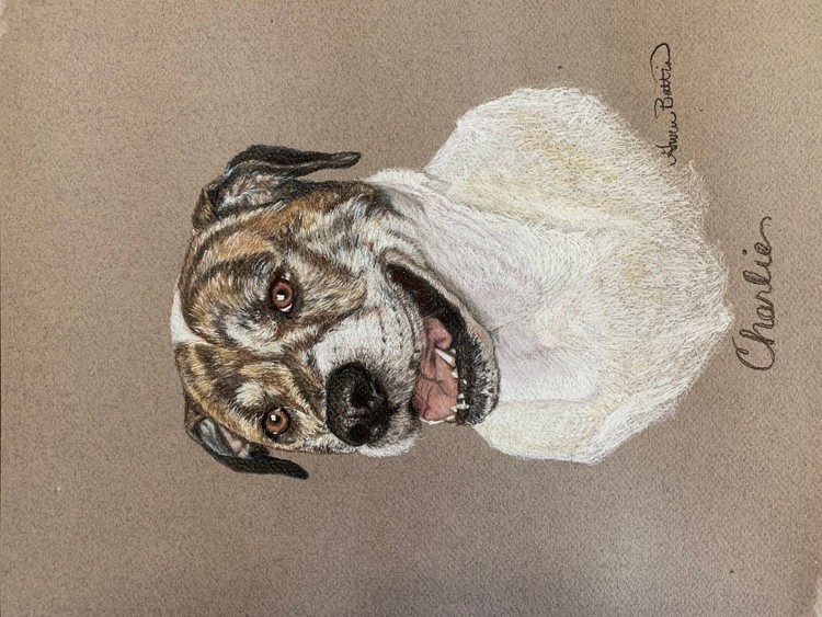 Charlie Dog